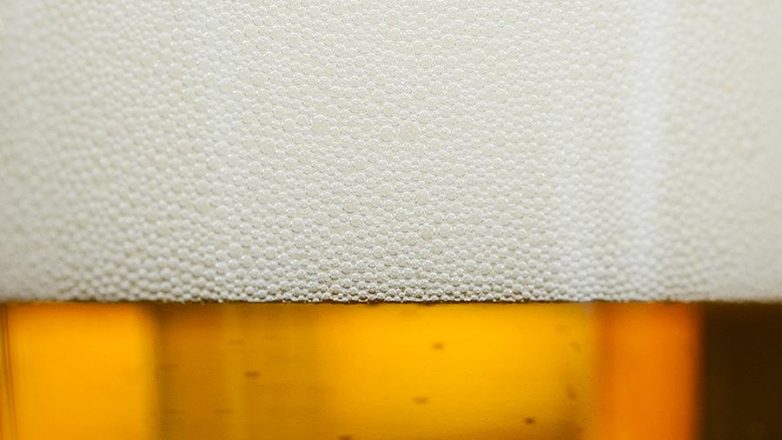 В России могут установить минимальную цену на пиво