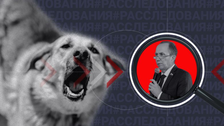 Куда делись десятки миллионов, выделенные на борьбу с собаками-людоедами в Астрахани?