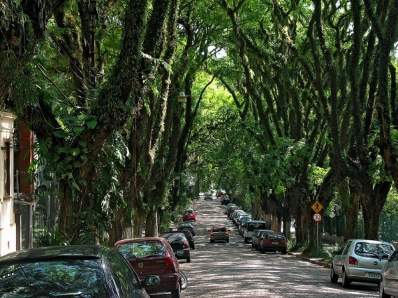 Руа-Гонсалу-де-Карвальо: официально самая красивая улица в мире