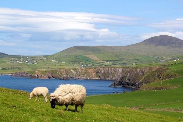 10 вещей, которые обязан сделать в Ирландии любой уважающий себя турист