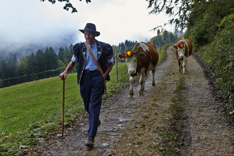 Как живут швейцарские сыроделы