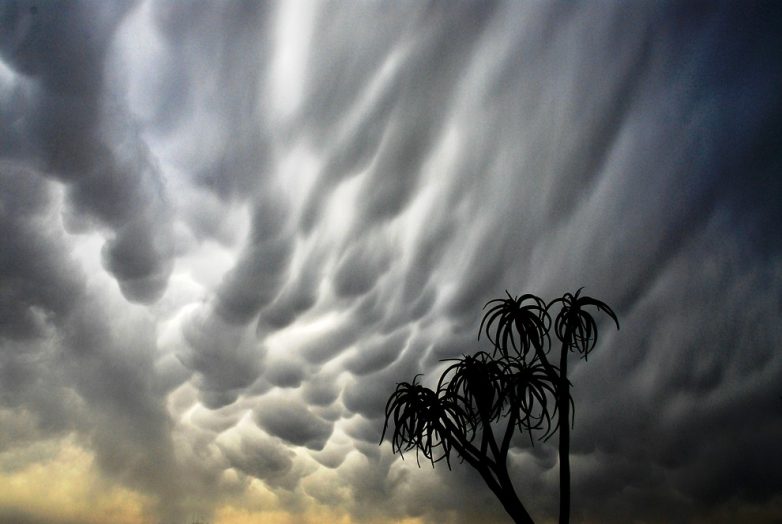 Mammatus: причудливые облака со всего мира