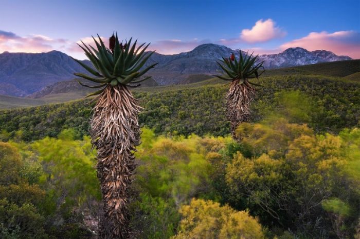 Захватывающая природа Южной Африки