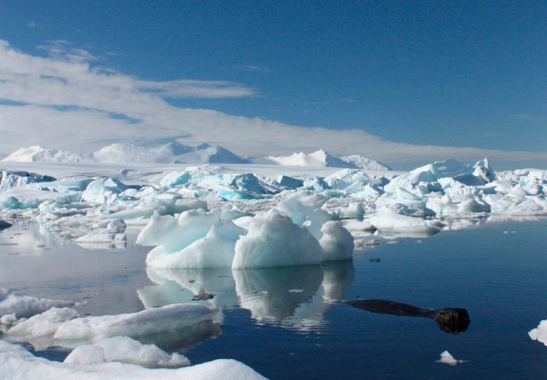 Как тает красота: исчезающие пейзажи Антарктиды