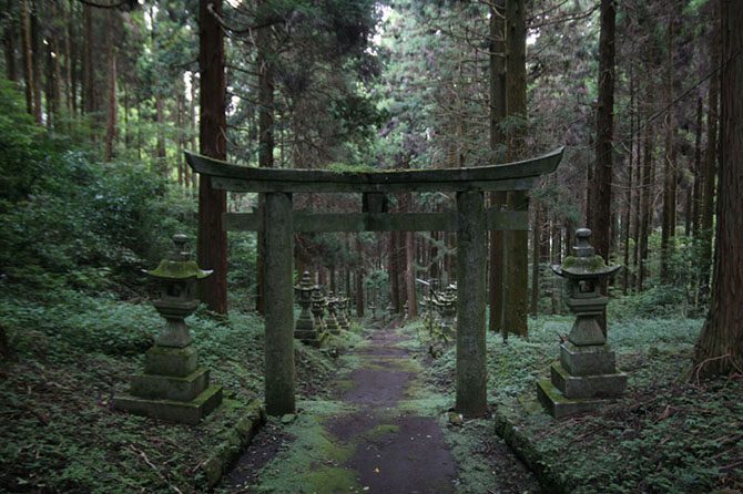 Фотопрогулка по священному японскому лесу
