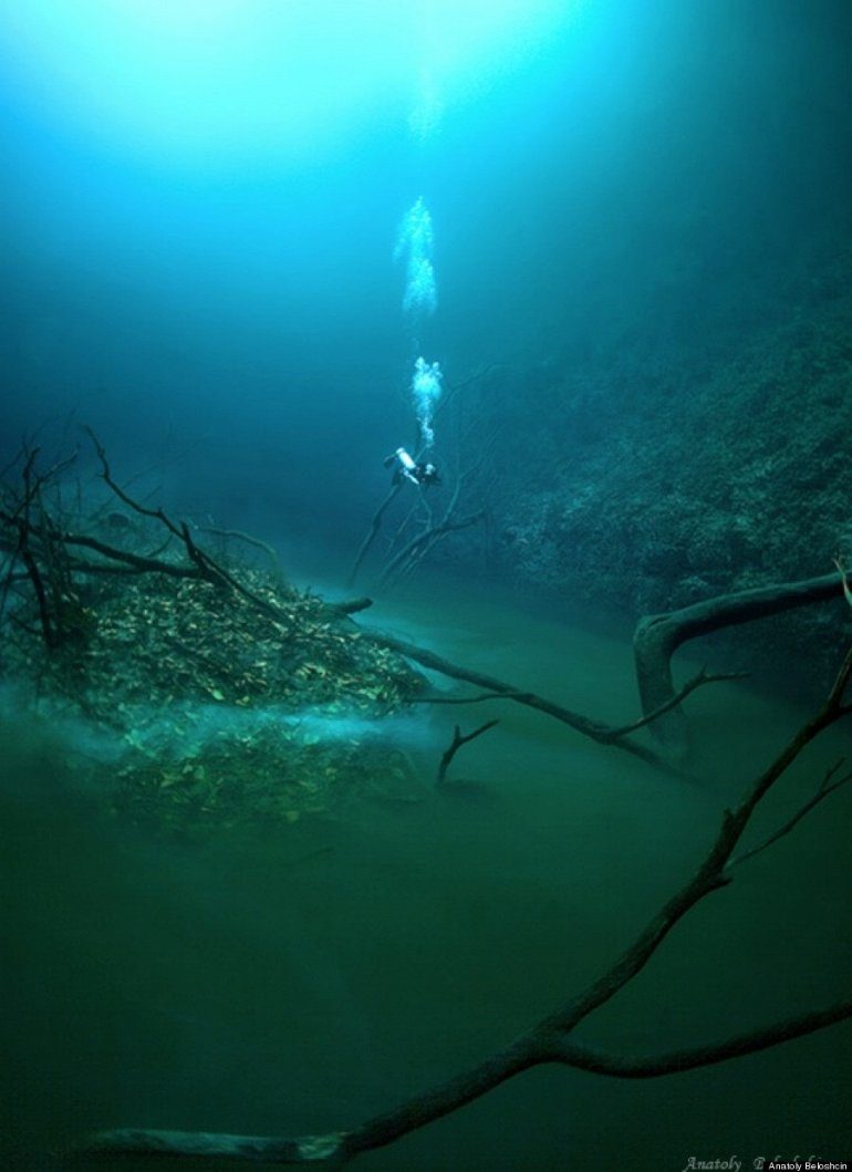 Подводная река Сенот-Анжелита — мексиканское чудо природы
