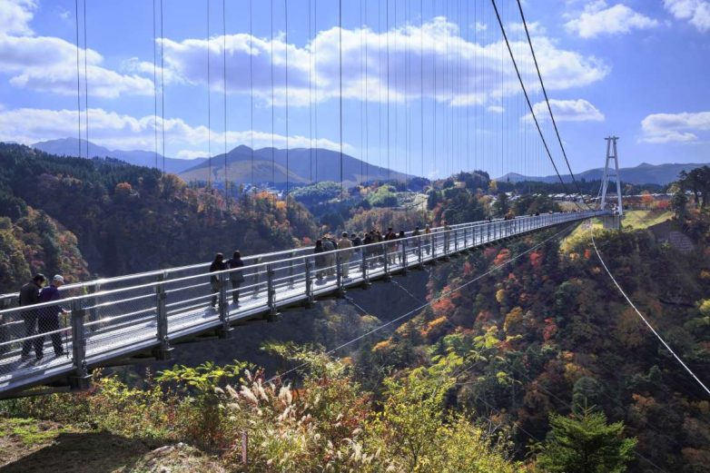 12 самых красивых и необычных пешеходных мостов планеты