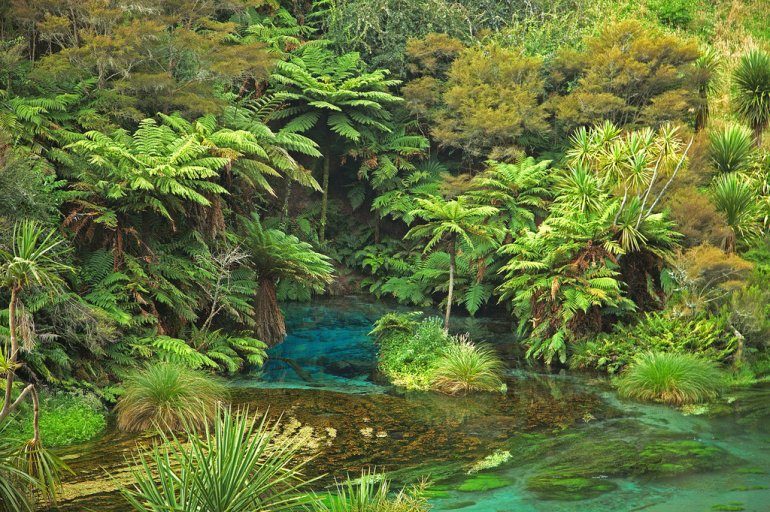 Сказочная река в Новой Зеландии