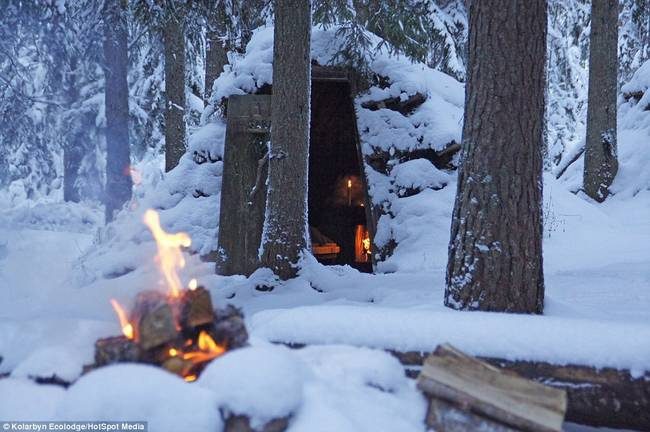 Вдали от суеты: лесной отель в Швеции