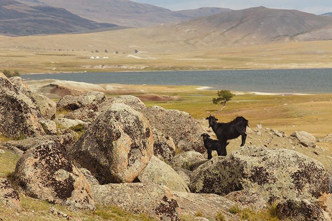 О чём молчат горы: магические виды Монгольского Алтая