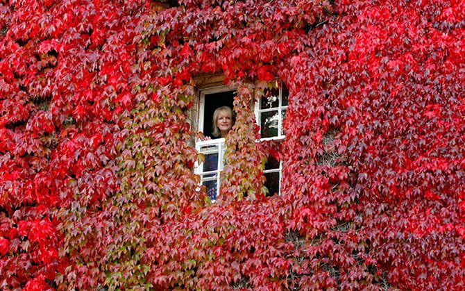 Красочная осень в Англии
