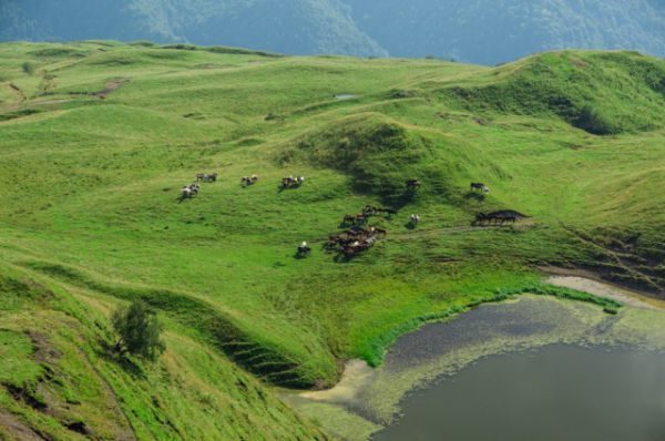 Удивительно красивые пейзажи Чечни