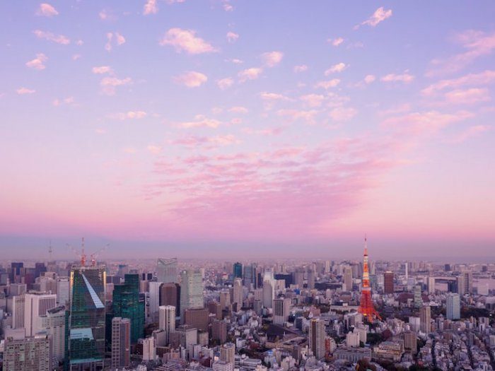 Удивительный и роскошный Токио