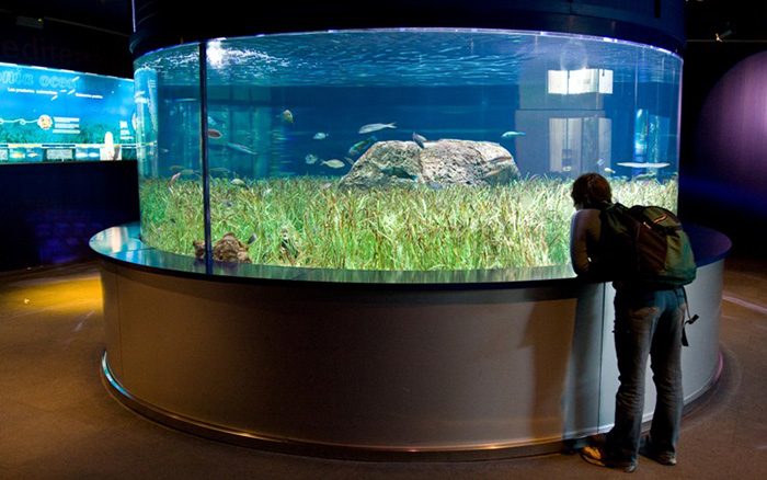 Фантастически красивые аквариумы