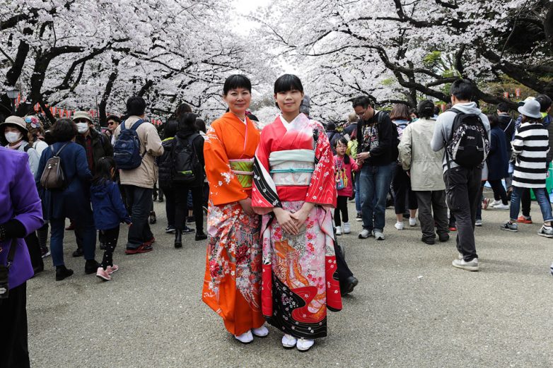Япония: сакура цветет
