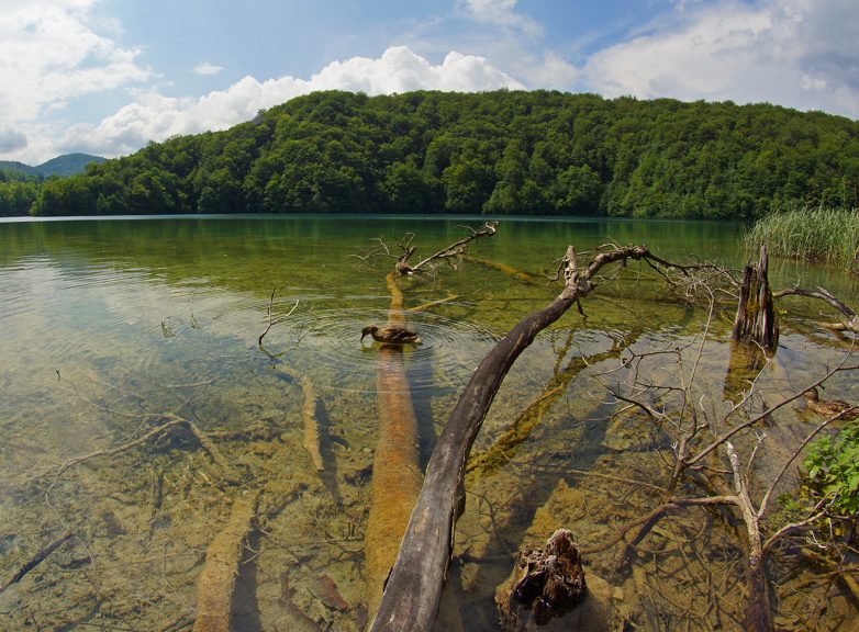 Невероятно романтичные Плитвицкие озера