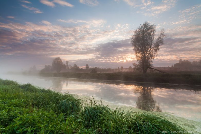 Время туманов, гроз и каштанов