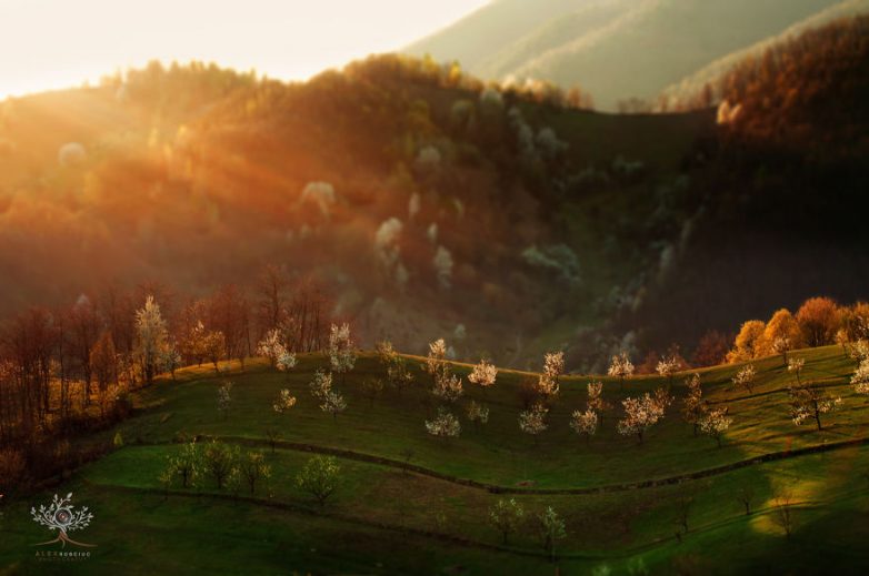 Туманные закаты и рассветы Трансильвании