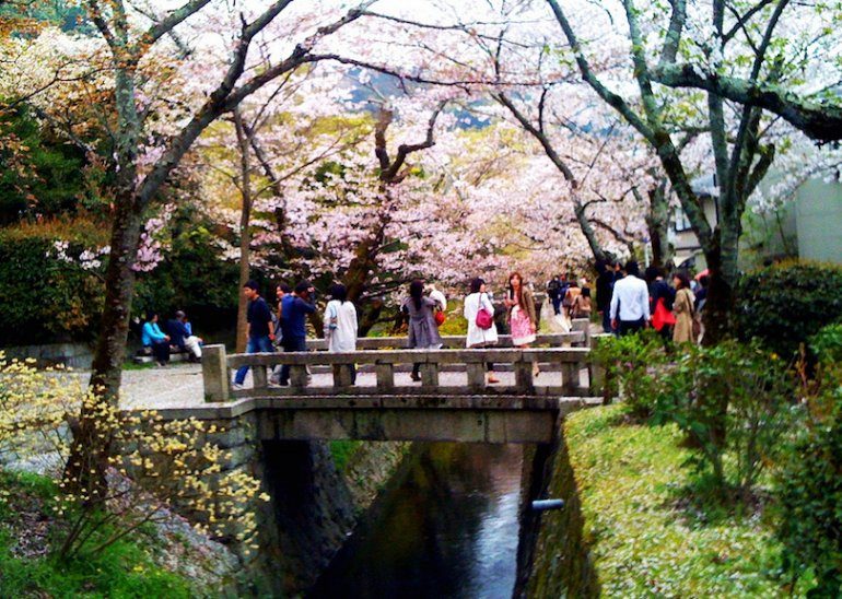 Открытие мира древних храмов и достопримечательностей Киото