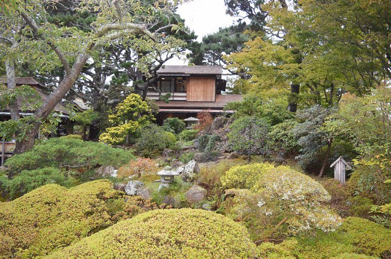 Экзотический Японский сад в центре американского мегаполиса
