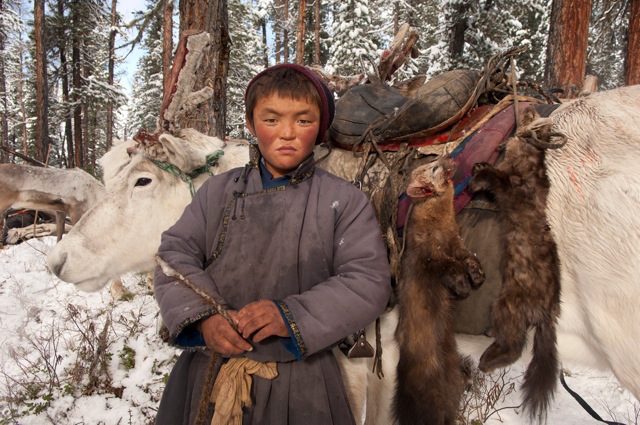 Несколько фактов из жизни оленеводов Монголии