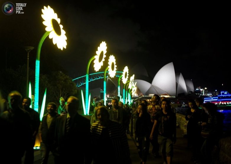 Фестиваль музыки и света в Австралии