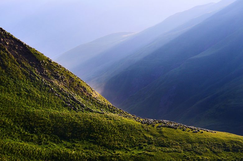 Лучше гор могут быть только горы, снятые дроном в Грузии
