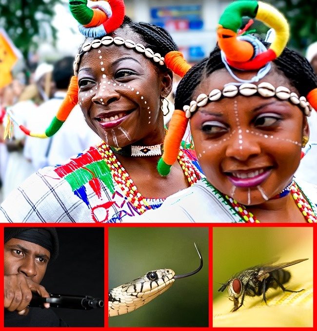 Скорпионы, террористы и прочие напасти, которые поджидают туриста в 10 популярнейших странах