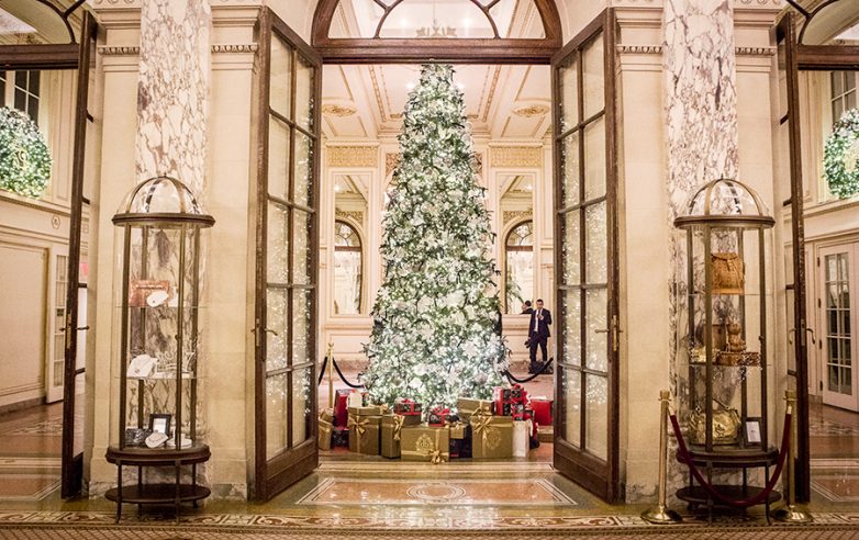 Каждой иголочкой радует нас: самые красивые и необычные рождественские ёлки со всего мира