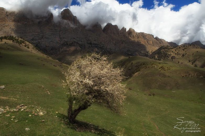 На хребте Кавказа: путешествие по удивительной Ингушетии