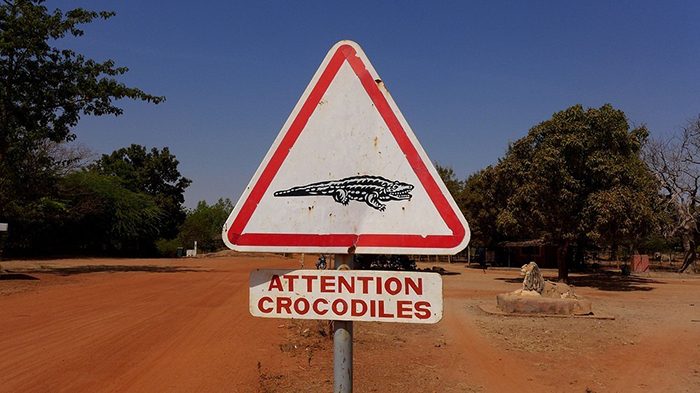 Шок! Священные крокодилы Буркина-Фасо, которых нельзя обижать, но можно тискать