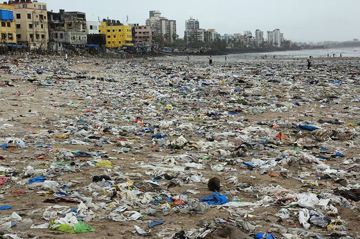 Во имя черепах, во имя добра: с индийского пляжа убрали 5000 тонн мусора