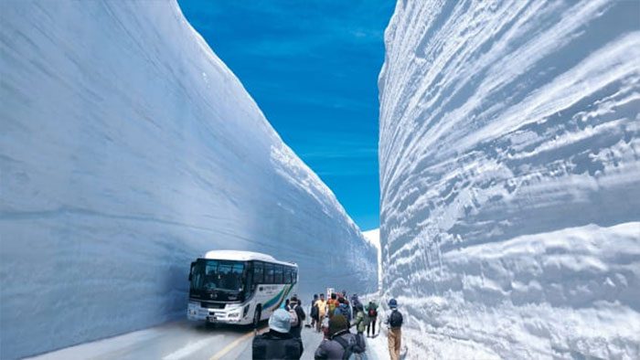 Да что вы знаете о снеге? Уникальный снежный туннель в Японии