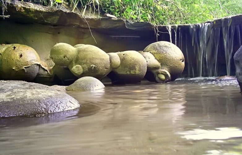 Чудо природы: румынские камни, которые умеют дышать и размножаться!