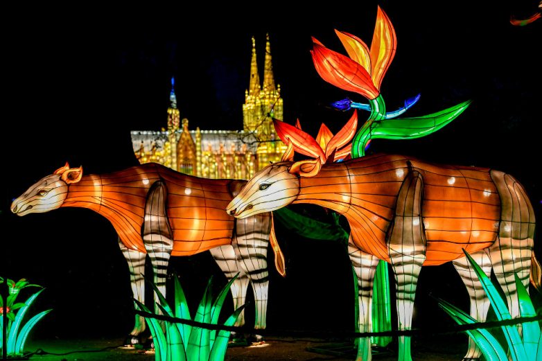Потрясающий фестиваль света в Кёльнском зоопарке
