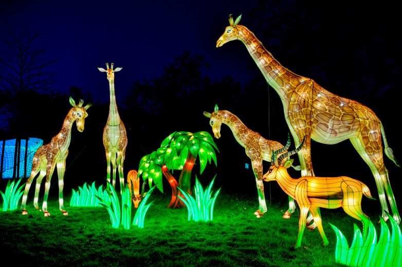 Потрясающий фестиваль света в Кёльнском зоопарке