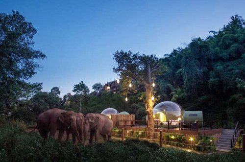 Таиланд: ночь в отеле-пузыре