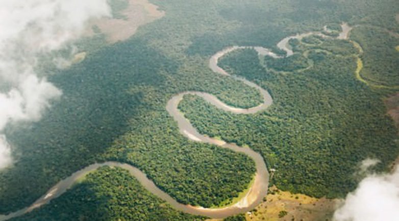 Крокодилы и не только: самые опасные реки в мире
