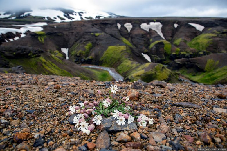 Исландия: атмосферное путешествие в край вулканов и водопадов