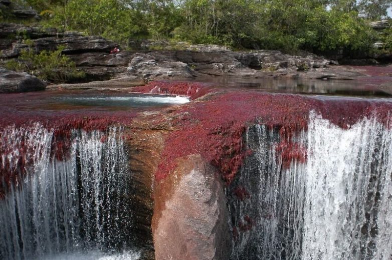 Каньо-Кристалес: фоторепортаж о самой красивой реке в мире