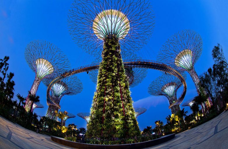 Футуристические прибрежные сады Сингапура