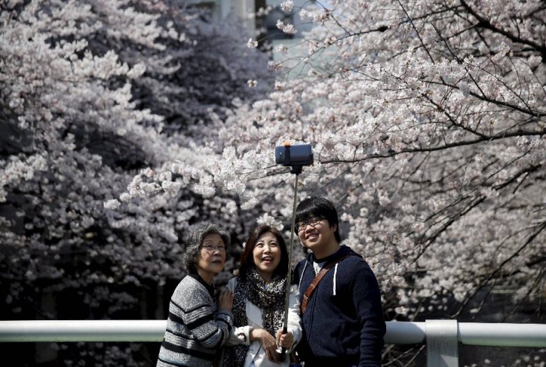 Завораживающее зрелище: ханами — традиция любования цветением сакуры
