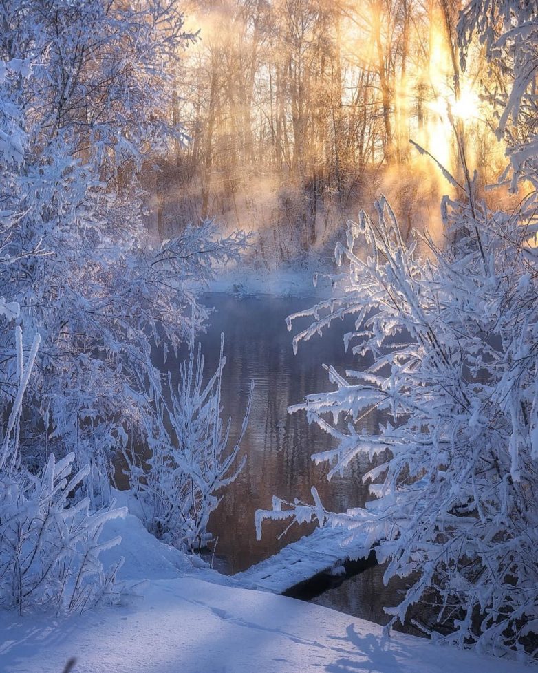 Сказки Севера: зимняя природа на снимках Андрея Базанова