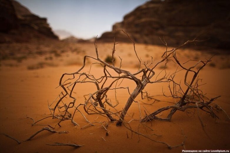 Пески времён: Лунная долина в Иордании