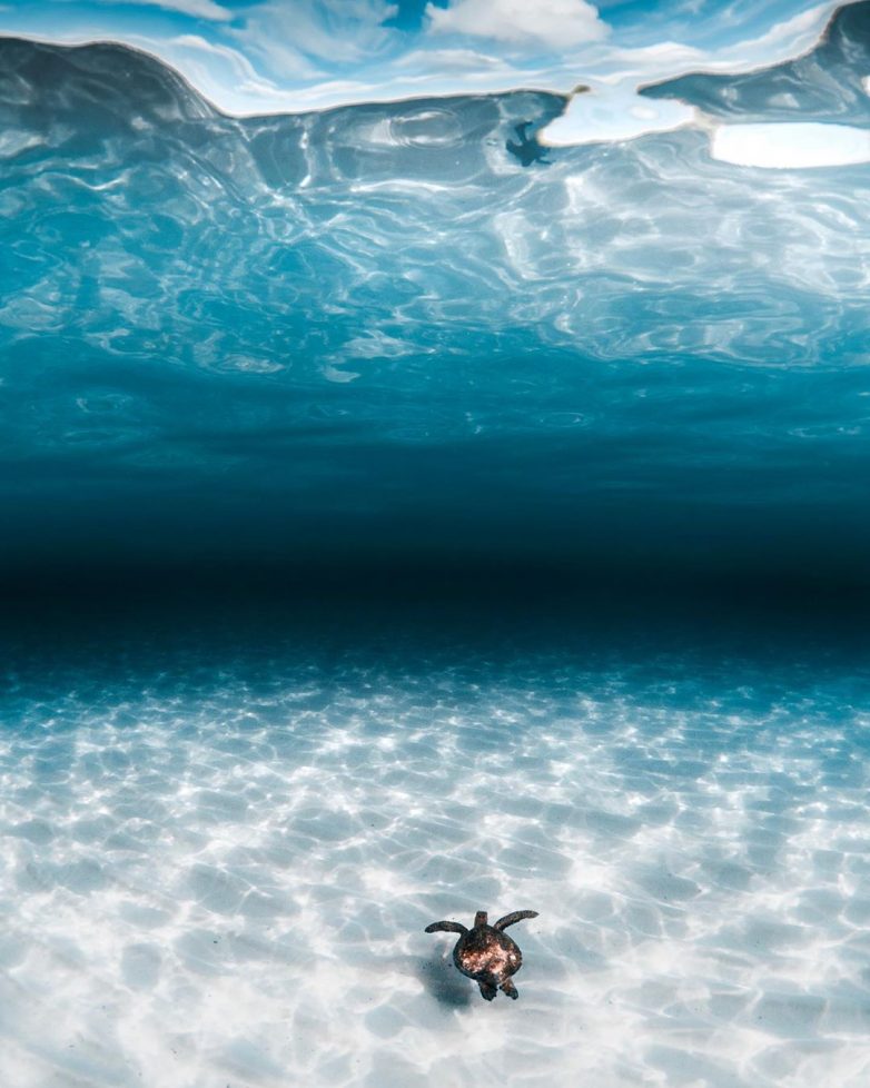 Бездонный мир моря на фантастических снимках Беннетта Ломбардо