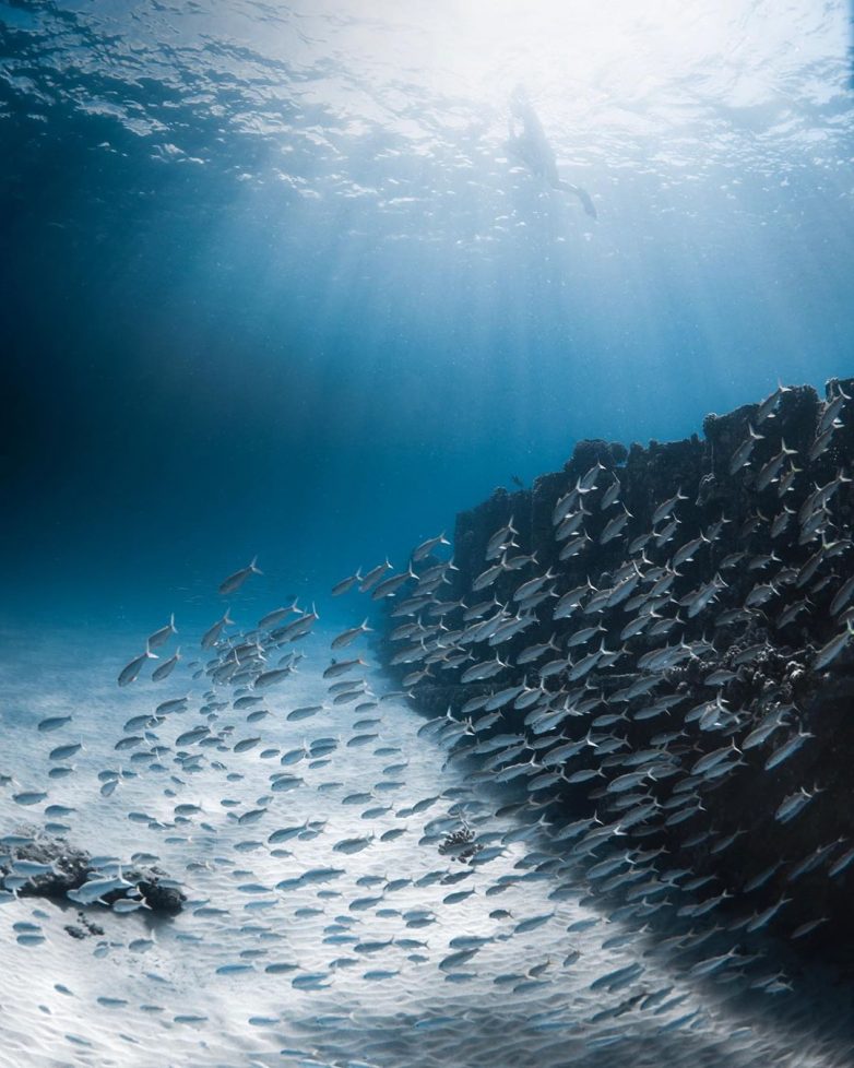 Бездонный мир моря на фантастических снимках Беннетта Ломбардо