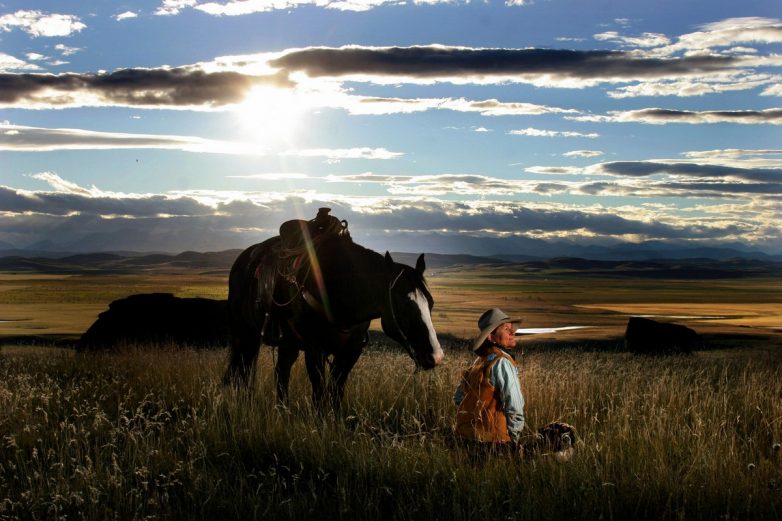 Удивительная жизнь канадских ранчо