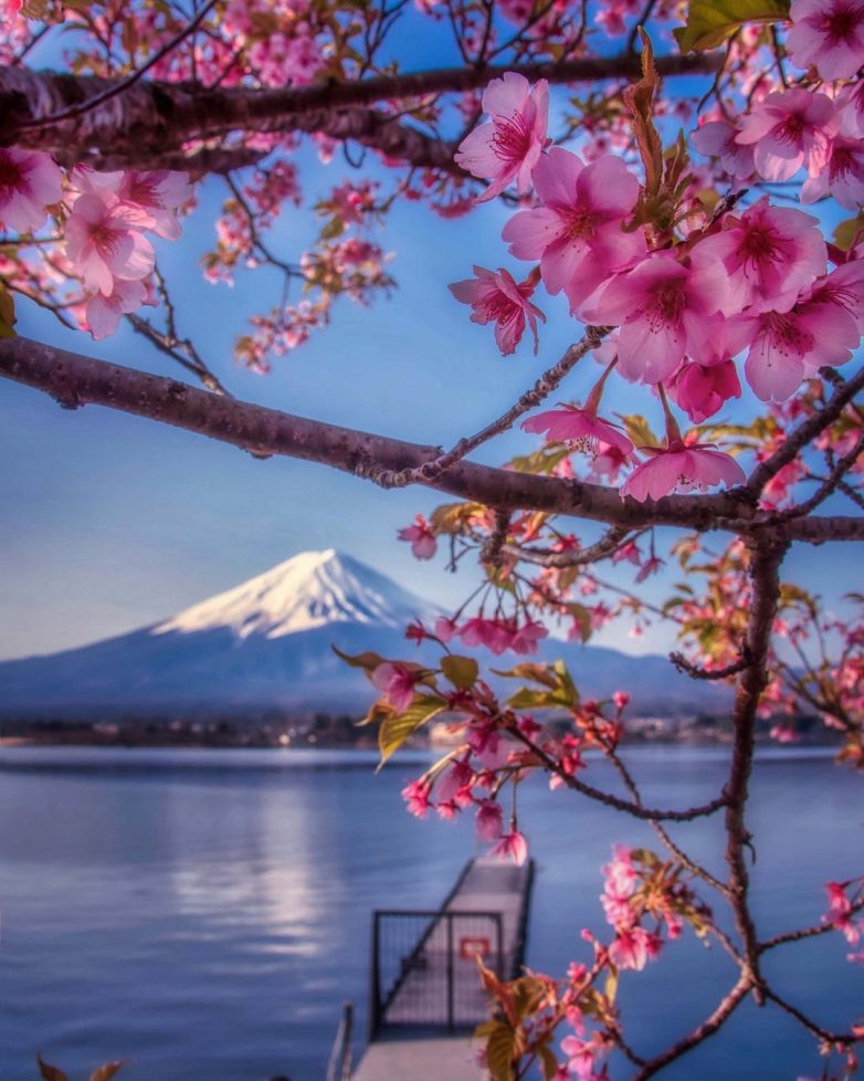 Волшебная японская природа на снимках Макико Самедзимы