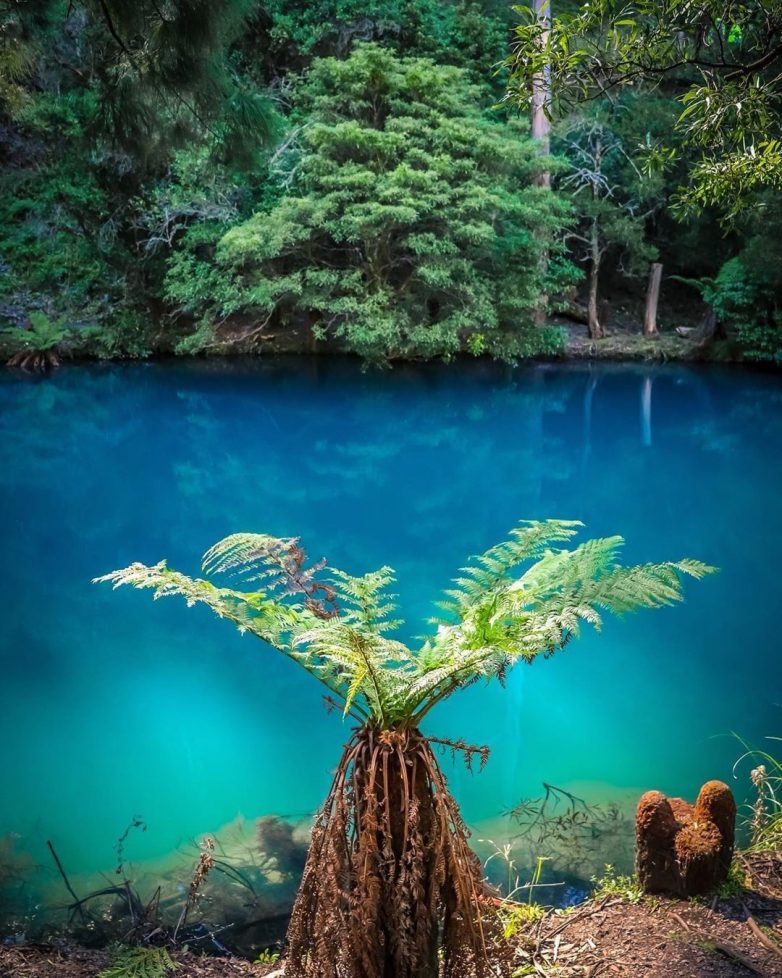 Фантастическое австралийское озеро с бирюзовой водой