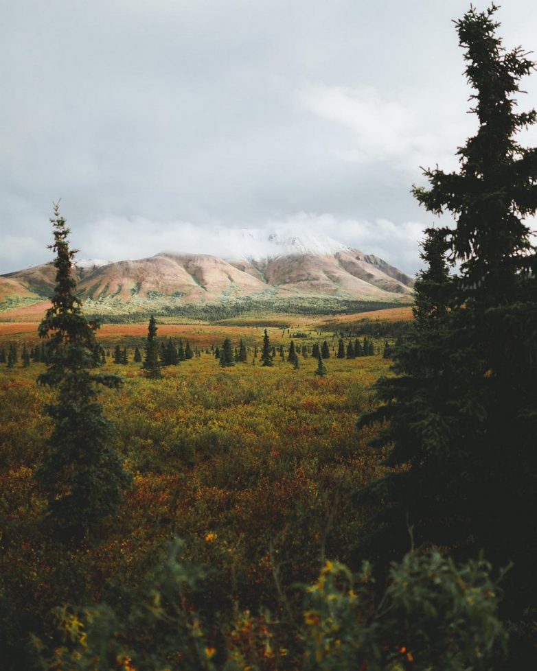 Фантастическая природа Аляски на снимках Патрика Туна